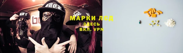 крисы Алзамай
