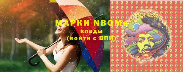 крисы Алзамай