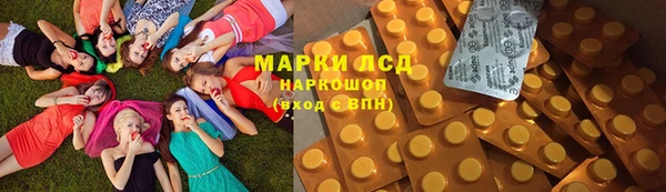 крисы Алзамай